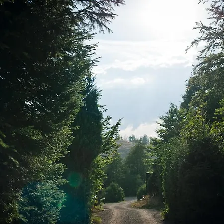 펜션 Sleep Space 28 - Tiny Village Harz Osterode am Harz