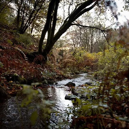 Sleep Space 28 - Tiny Village Harz *